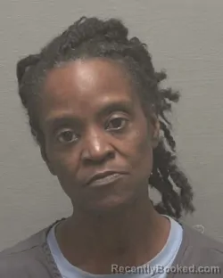 Mugshot of SHELLY HOPE MONROE booked in New Hanover County, North Carolina on May 22, 2026