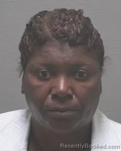 Mugshot of ANNIE LOU BRADFORD booked in New Hanover County, North Carolina on July 13, 2026