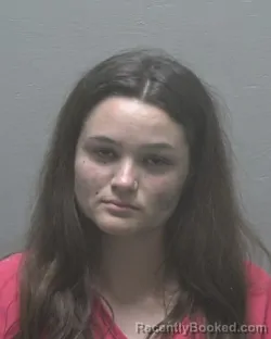 Mugshot of SAVANNAH SPROUSE booked in New Hanover County, North Carolina on April 26, 2026