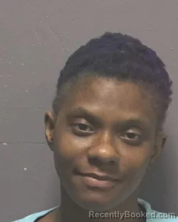 Mugshot of SHAMEKA NICOLE HICKS booked in New Hanover County, North Carolina on March 12, 2026