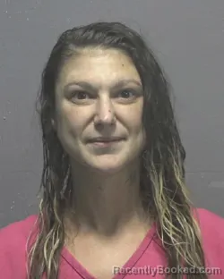 Mugshot of Tammy Lynn Mcmillan booked in New Hanover County, North Carolina on August 29, 2026