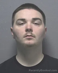 Mugshot of NOLYN RYAN-SEAYN BREWER