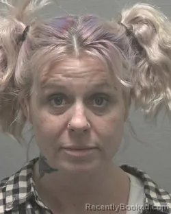 Mugshot of JAIME LEIGH PORTER