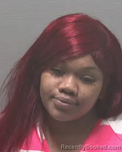 Booking photo from New Hanover County, North Carolina