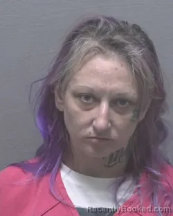 Mugshot of Phylicia Marie Rivenbark booked in New Hanover County, North Carolina on August 20, 2026