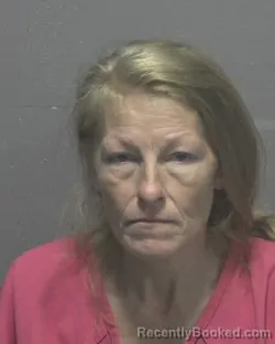 Mugshot of Debra Ann Starling booked in New Hanover County, North Carolina on August 31, 2026