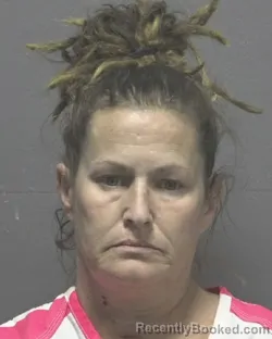 Mugshot of SARAH E HARKER booked in New Hanover County, North Carolina on March 20, 2026