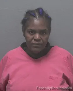 Mugshot of ANNIE ANNETTE JOHNSON booked in New Hanover County, North Carolina on July 2, 2026