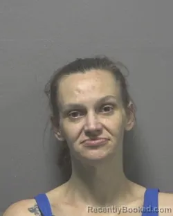 Mugshot of LAURA ELIZABETH BURNS booked in New Hanover County, North Carolina on July 6, 2026