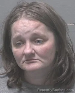 Mugshot of KIMBERLY BRICKLE WILLIAMSON booked in New Hanover County, North Carolina on July 9, 2026