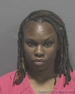 Mugshot of Laquish Shontae Little booked in New Hanover County, North Carolina on September 10, 2026
