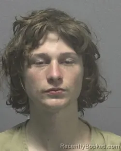 Mugshot of GEORGE SCOUT BRUTON booked in New Hanover County, North Carolina on March 20, 2026