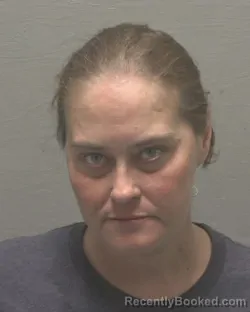 Mugshot of JORDAN LYNNE LANIER