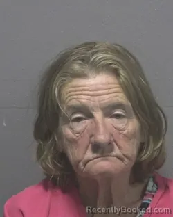 Mugshot of Teresa Lynne Benson booked in New Hanover County, North Carolina on August 29, 2026