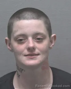 Mugshot of SARA ANN NICKELL booked in New Hanover County, North Carolina on May 17, 2026