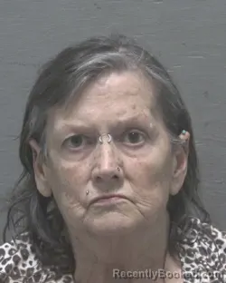 Mugshot of KATHLEEN MARIE LANKESTER booked in New Hanover County, North Carolina on July 2, 2026