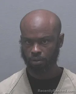 Mugshot of ROBERT VANN booked in New Hanover County, North Carolina on June 4, 2026