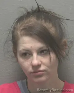 Booking photo from New Hanover County, North Carolina