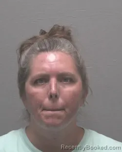 Mugshot of SARAH BUTLER LANG booked in New Hanover County, North Carolina on July 13, 2026