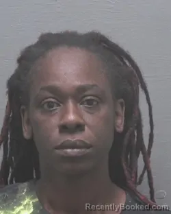 Mugshot of TINESHA FELICIA DAVIS booked in New Hanover County, North Carolina on July 14, 2026