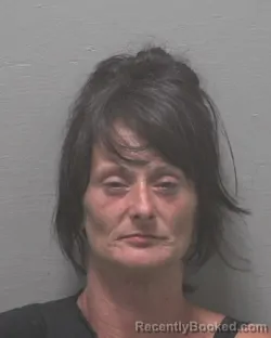 Mugshot of WANDA LOUISE MOORES booked in New Hanover County, North Carolina on June 28, 2026