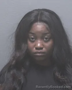 Mugshot of DAMERYIONA TYSHAUNA JOHNSON booked in New Hanover County, North Carolina on May 19, 2026