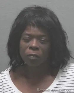 Mugshot of CHRISTINA GRADY LANE booked in New Hanover County, North Carolina on May 28, 2026