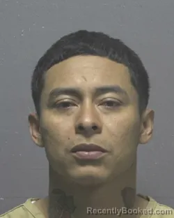 Mugshot of ARIEL EDUARDO SALGADO-TROCHEZ