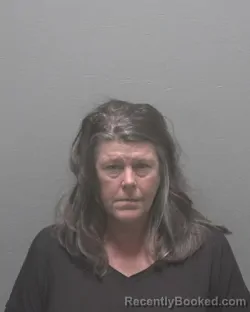 Mugshot of HEATHER LYNN BEAVER booked in New Hanover County, North Carolina on June 2, 2026
