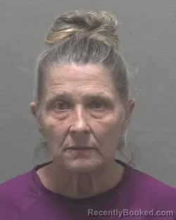 Mugshot of TRACEY RENEE FRAZIER booked in New Hanover County, North Carolina on July 13, 2026
