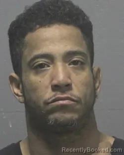 Mugshot of LUIS PAGAN-ANDINO