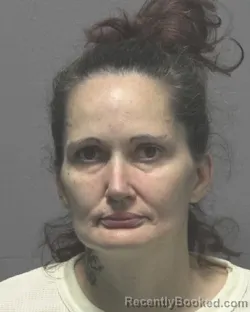 Mugshot of LISA MARIE STONEHILL booked in New Hanover County, North Carolina on May 13, 2026