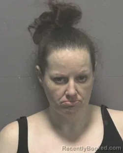 Mugshot of Meagan Whitney Mccoy Oakes booked in New Hanover County, North Carolina on September 3, 2026