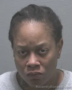 Mugshot of FAREEDAH IJLAL DIAAB booked in New Hanover County, North Carolina on July 22, 2026