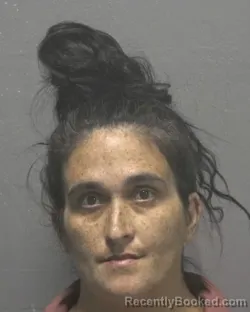 Mugshot of DEA DENISE HAYES booked in New Hanover County, North Carolina on May 6, 2026