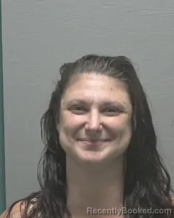 Mugshot of Tammy Lynn Mcmillan booked in New Hanover County, North Carolina on August 29, 2026