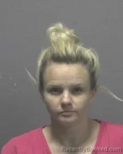 Mugshot of SAMANTHA LOU ETZ booked in New Hanover County, North Carolina on June 2, 2026