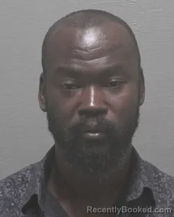 Mugshot of MARDOCHE BERNARD booked in New Hanover County, North Carolina on March 15, 2026