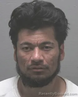 Mugshot of ADOLFO ANGEL ROBLES