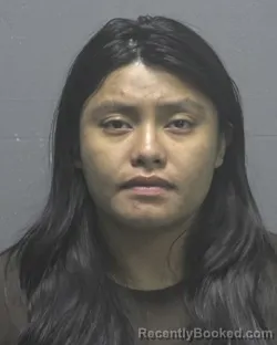 Mugshot of ARIADNE VELAZQUEZ-SOSA booked in New Hanover County, North Carolina on July 6, 2026