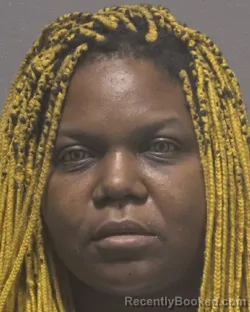 Mugshot of JONNETTA RAYCHELLE DIXON booked in New Hanover County, North Carolina on May 16, 2026