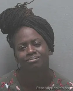 Mugshot of SIERRA NICOLE SATCHELL booked in New Hanover County, North Carolina on July 16, 2026