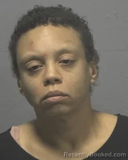 Mugshot of CHRYSTINA ALYSE CHAMBERS booked in New Hanover County, North Carolina on April 4, 2026