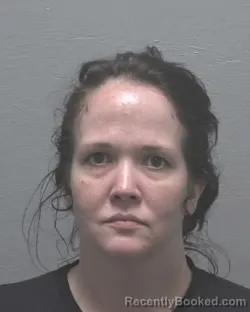 Mugshot of KYLE ELIZABETH HOLLINGSWORTH booked in New Hanover County, North Carolina on July 16, 2026
