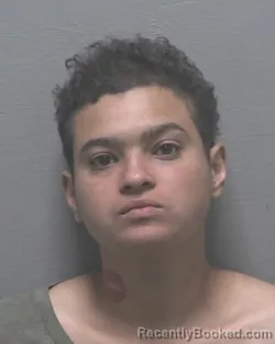 Mugshot of Erica Michelle Ramirez-Clay booked in New Hanover County, North Carolina on October 13, 2026