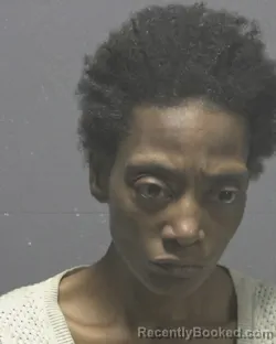 Mugshot of TEMBA BALLARD HANKINS booked in New Hanover County, North Carolina on April 4, 2026