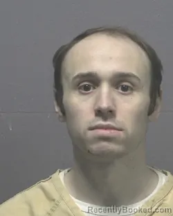 Mugshot of TROY EVAN SWINSON booked in New Hanover County, North Carolina on March 24, 2026