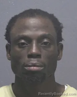 Mugshot of Nyenetu Ndorbor Morlu booked in New Hanover County, North Carolina on August 26, 2026