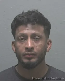 Mugshot of DENNIS MOISES VELASQUEZ ZUNIGA booked in New Hanover County, North Carolina on May 19, 2026