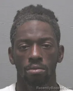 Mugshot of RONALD BARRY HILL